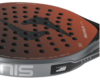 Siux Pegasus Elite 4 Padel Racket 2026 - Padel Outlet SIUX